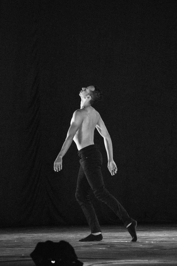 Festival de Dança 2019 - Profissões