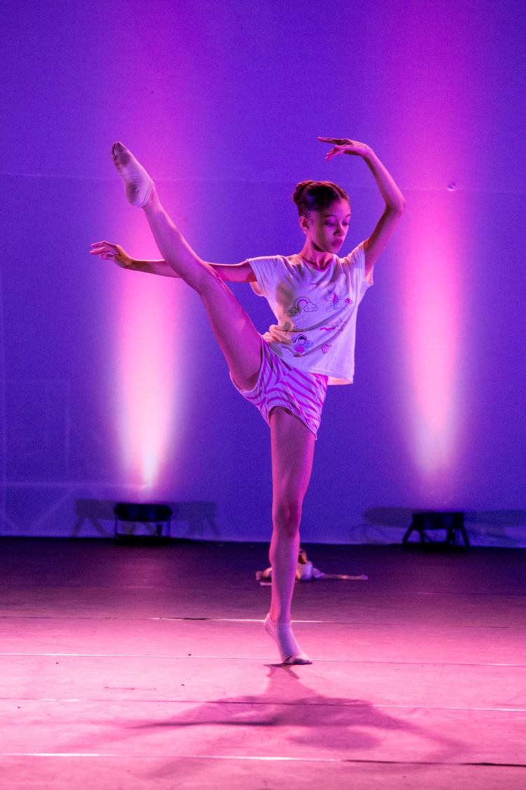 Festival de Dança 2019 - Profissões