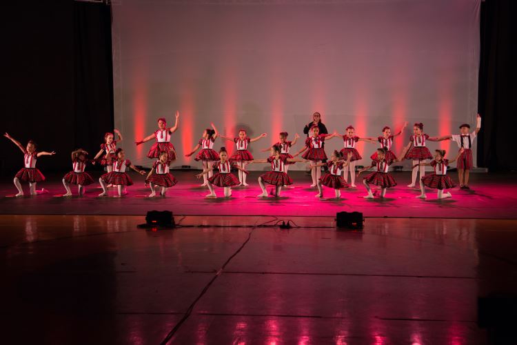 Festival de Dança 2019 - Profissões