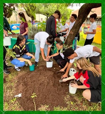 Escola SESI Matão encerra o ano com várias atividades sociais, educativas e esportivas