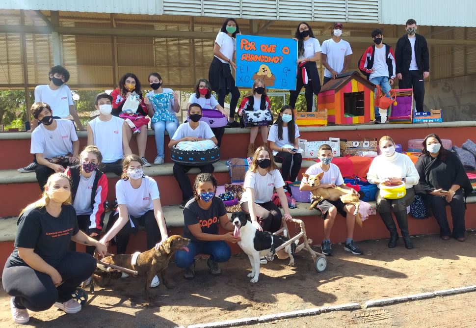 Campanha arrecada ração para cães e gatos