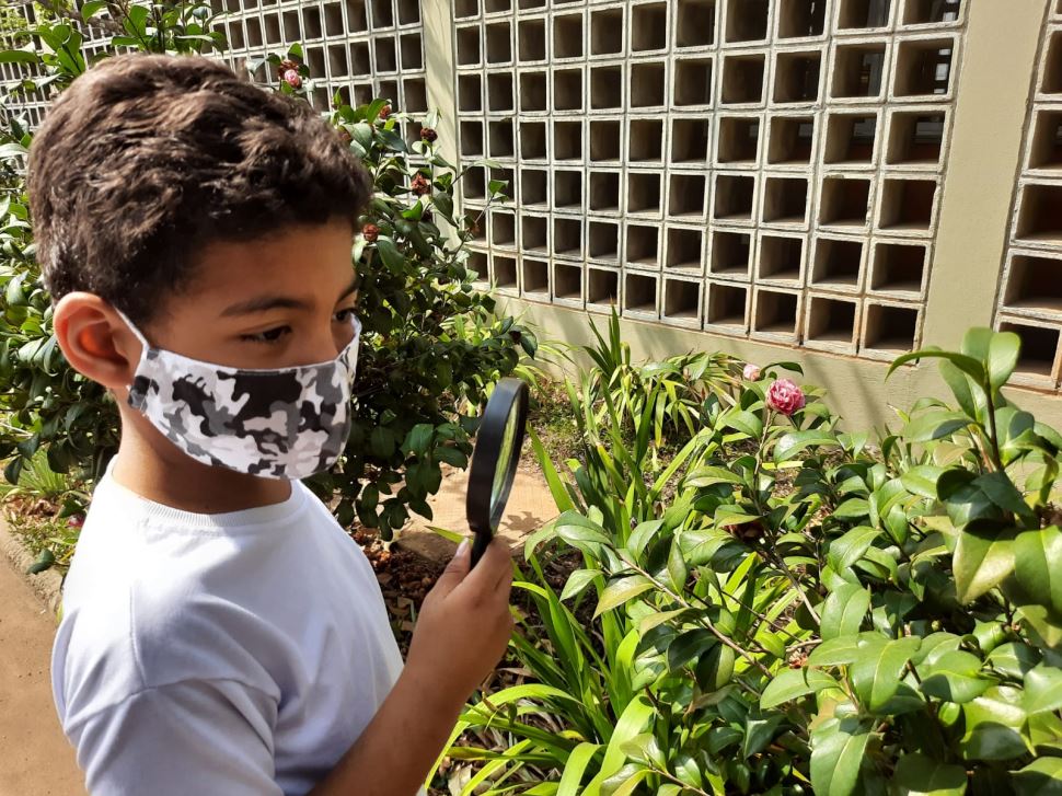 Estudantes realizam atividade observando seres vivos 