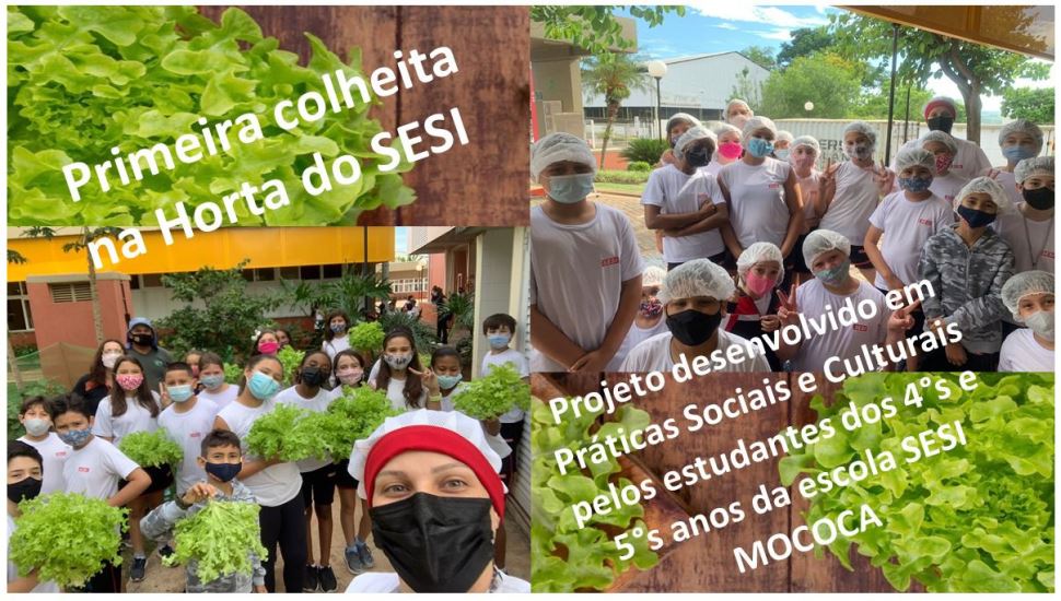 Estudantes consomem verduras de horta da escola Sesi de Mococa 