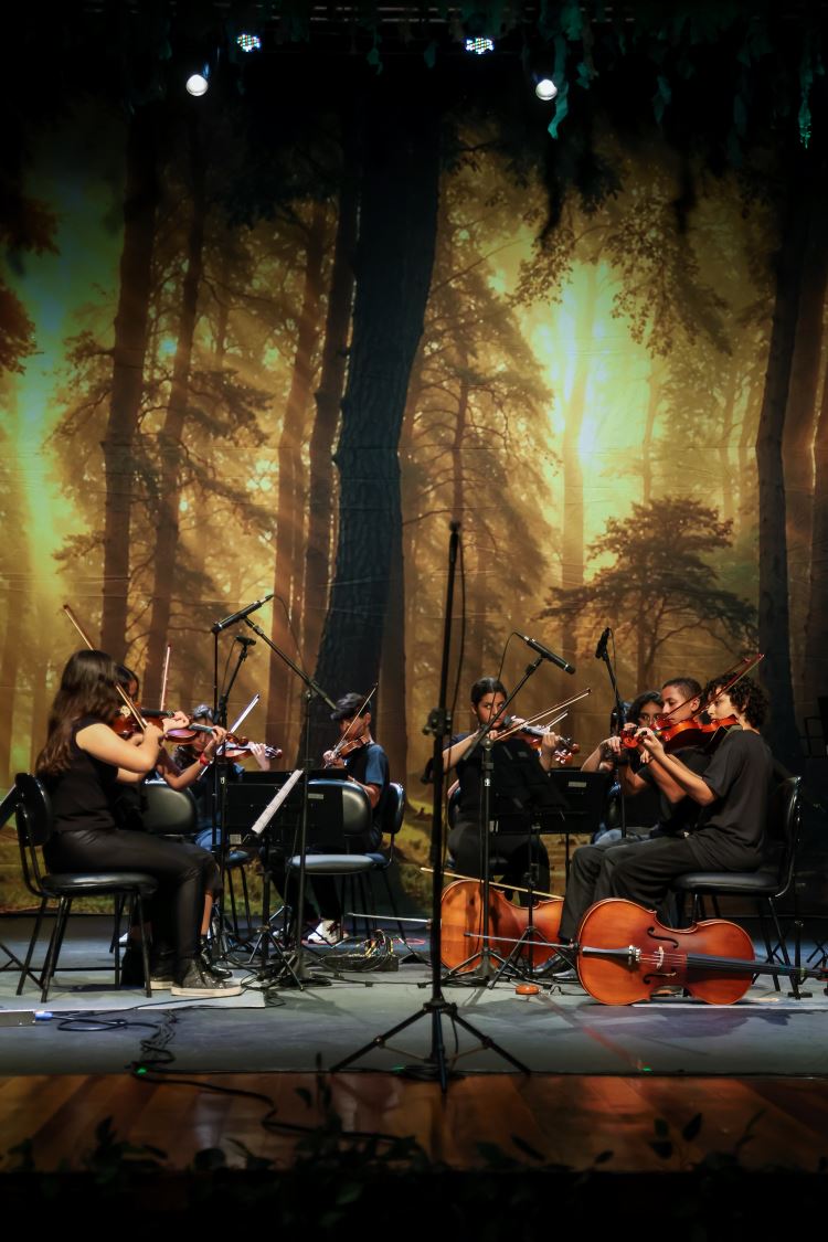 musica2026