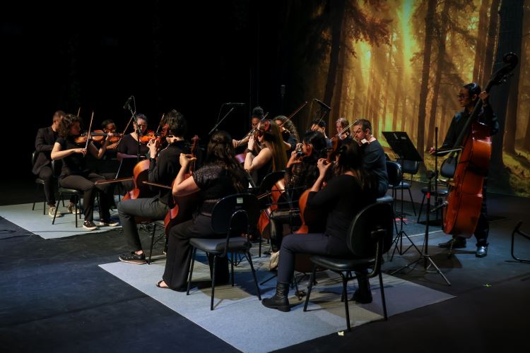 musica2026