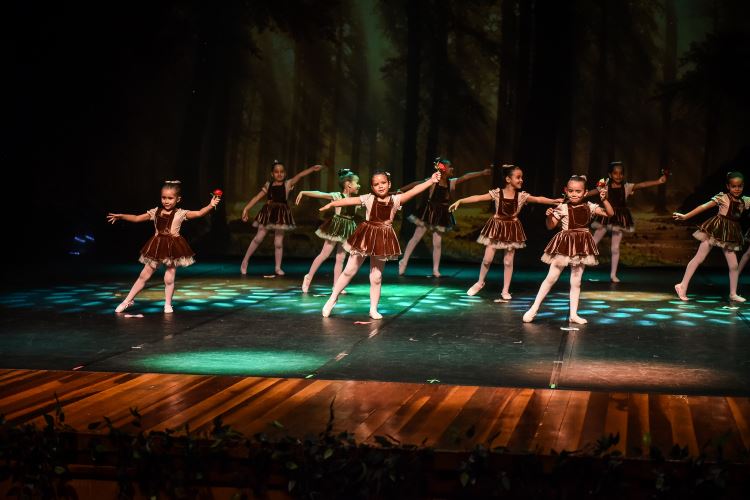 dança2026