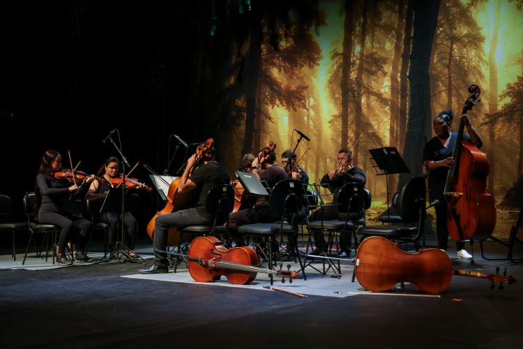 musica2026