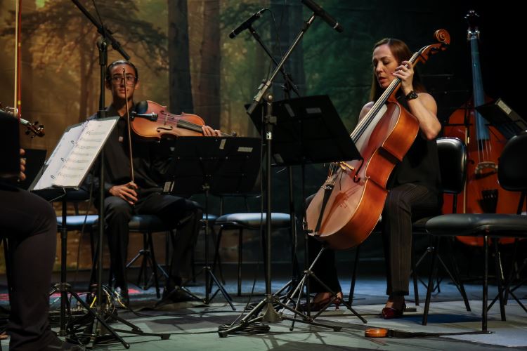 musica2026