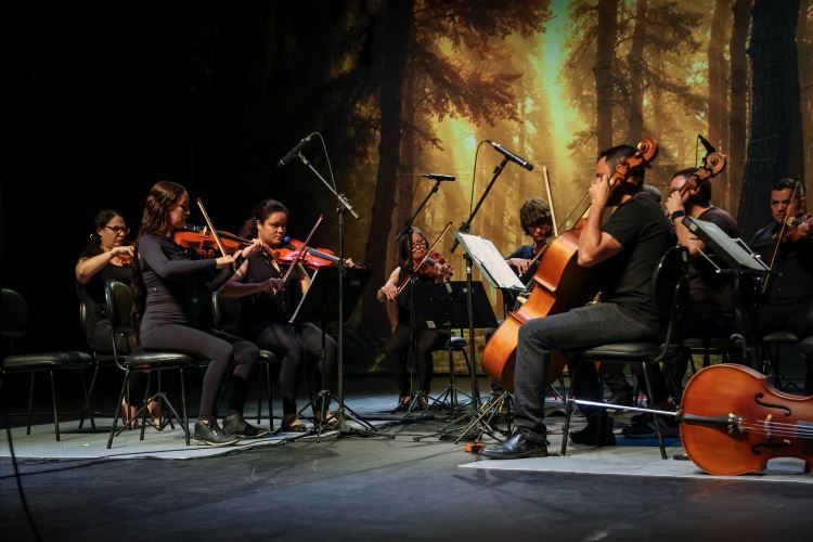 musica2026
