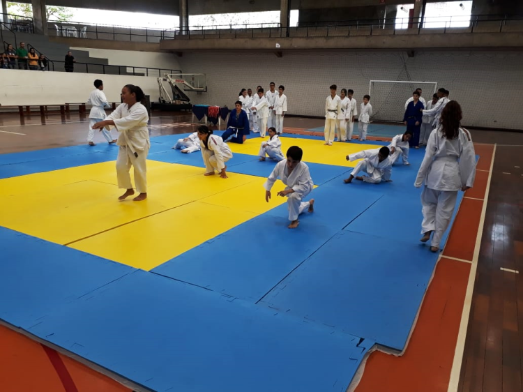 judo