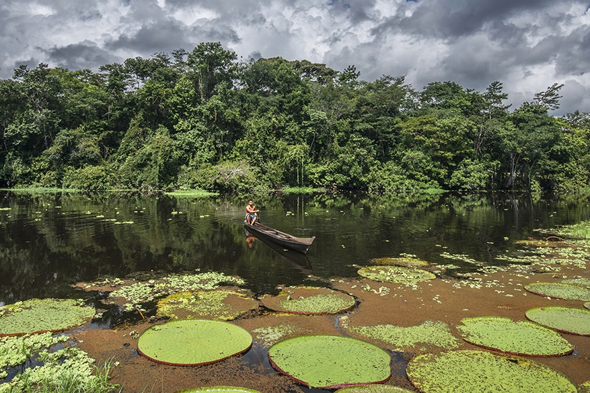 Exposição Universo Amazônico está cartaz até 1º de Abril no SESI Ourinhos 