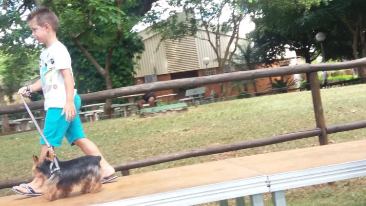 super ferias janeiro 2019