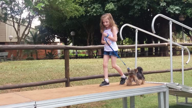 super ferias janeiro 2019