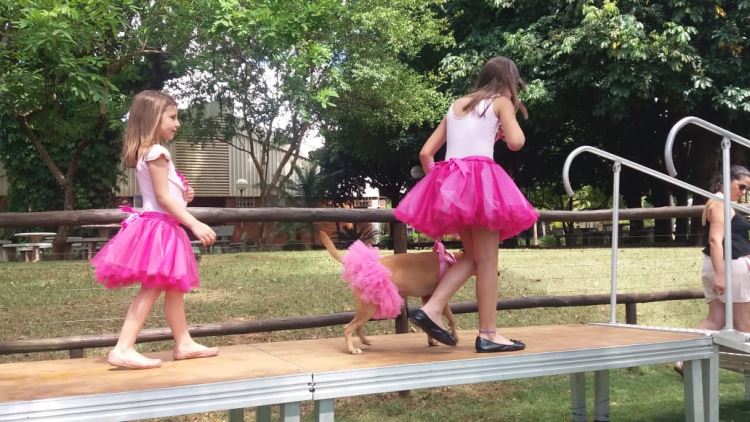 super ferias janeiro 2019