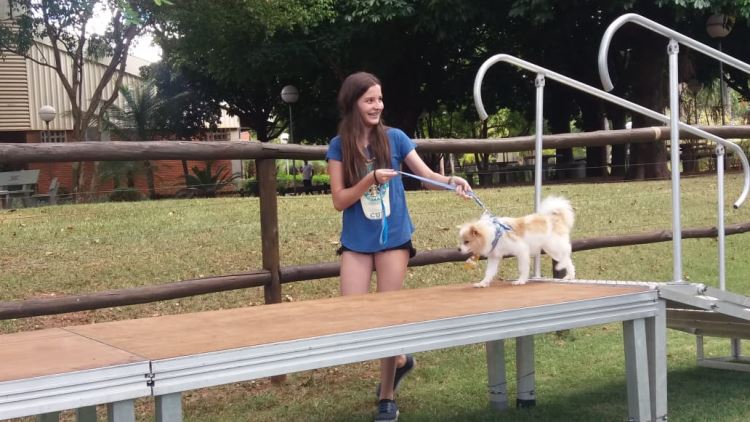 super ferias janeiro 2019