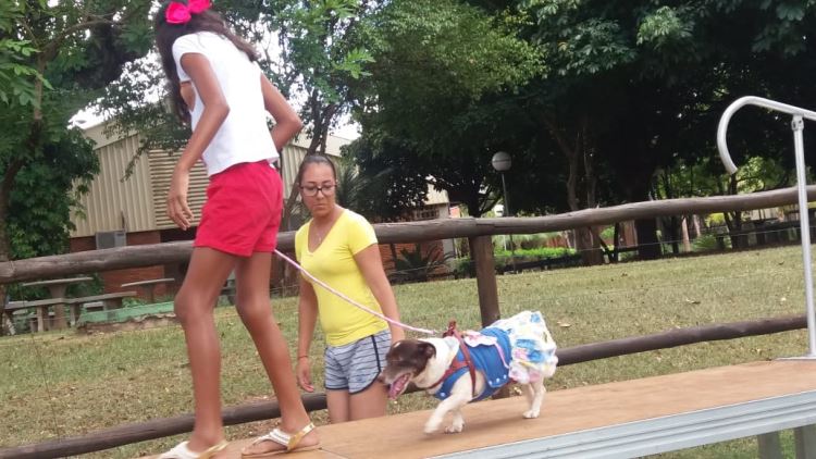 super ferias janeiro 2019