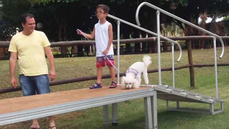 super ferias janeiro 2019