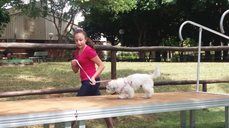 super ferias janeiro 2019