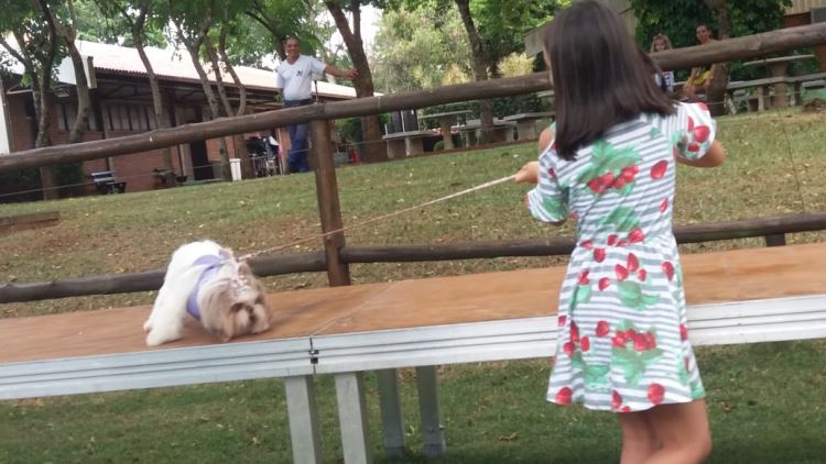 super ferias janeiro 2019