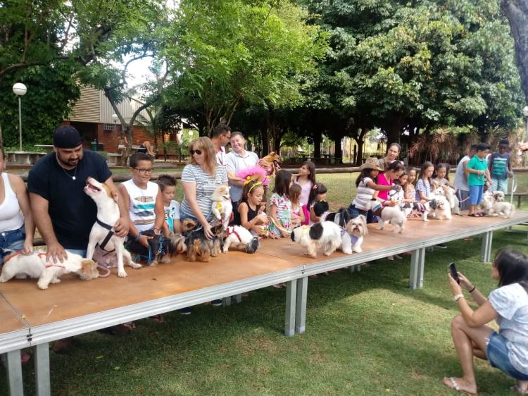 super ferias janeiro 2019