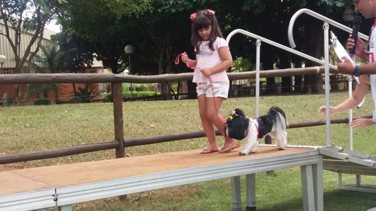 super ferias janeiro 2019