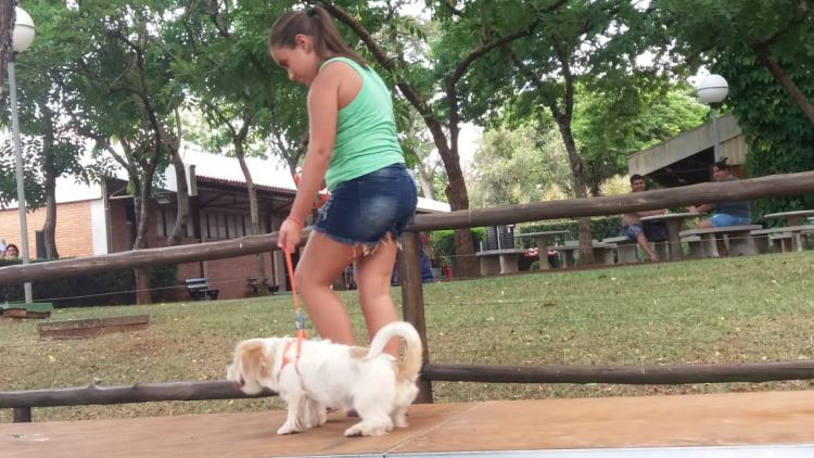 super ferias janeiro 2019