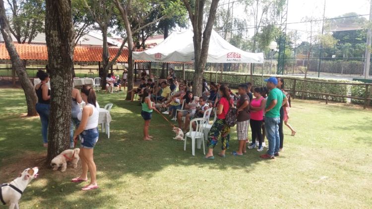 super ferias janeiro 2019