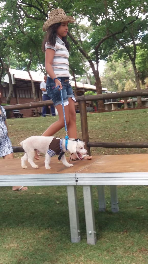 super ferias janeiro 2019