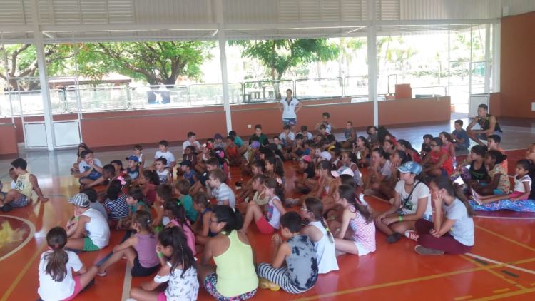 super ferias janeiro 2019