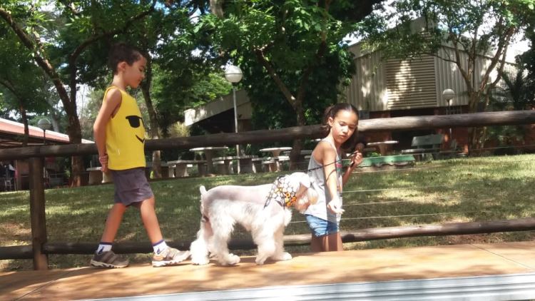 super ferias janeiro 2019