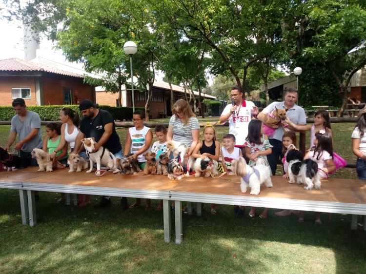 super ferias janeiro 2019