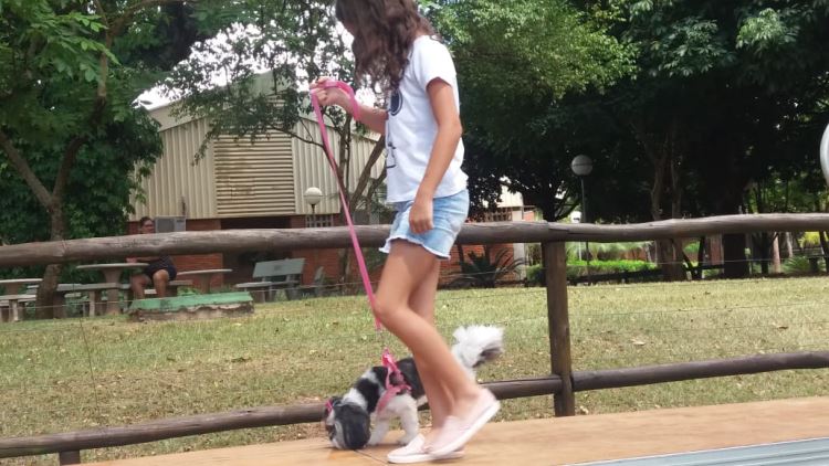 super ferias janeiro 2019