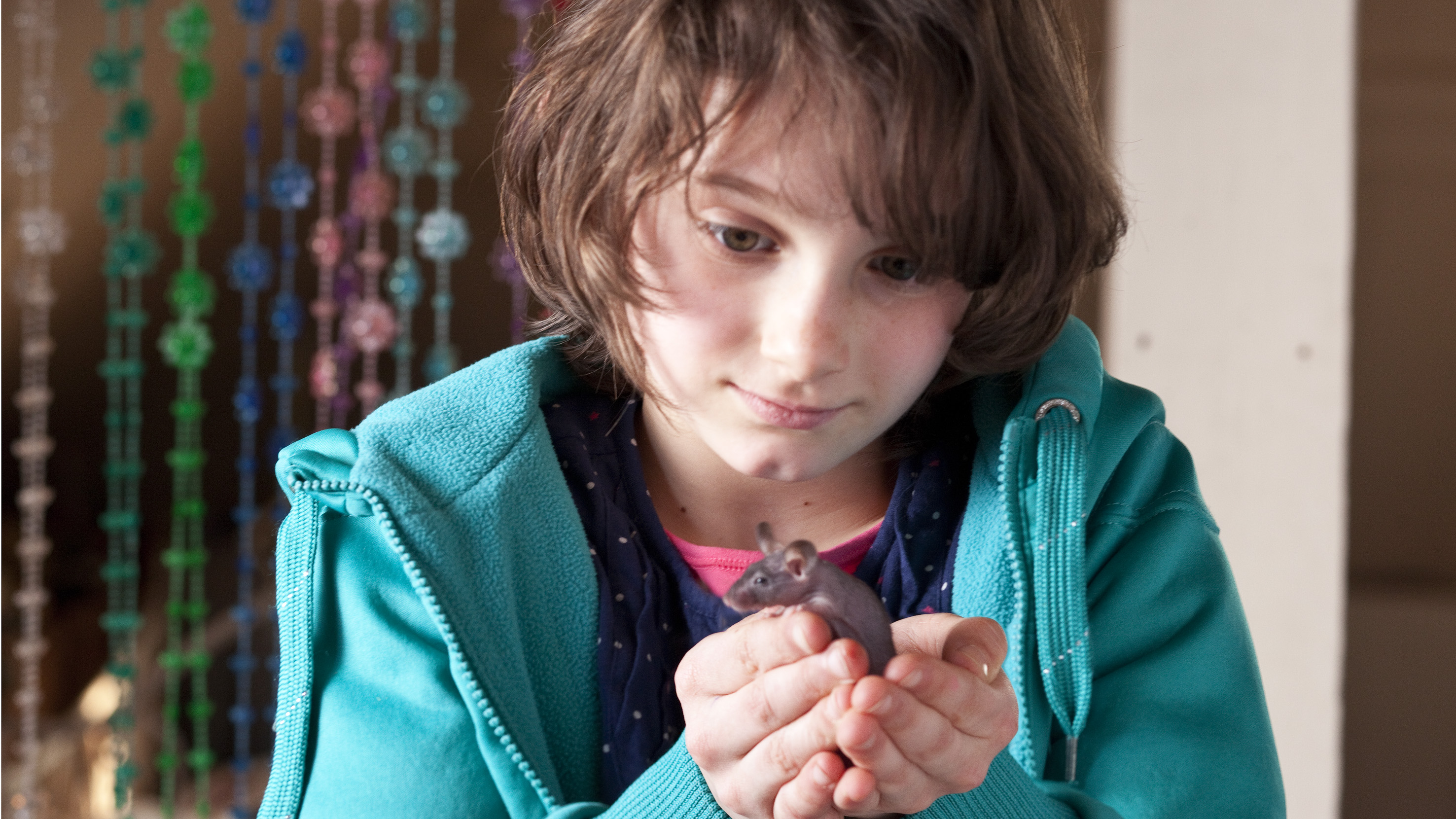 Quais São as Chances? | Patatje Oorlog