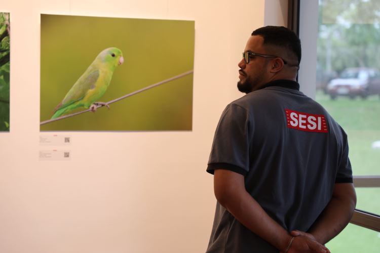Avifauna de São Paulo