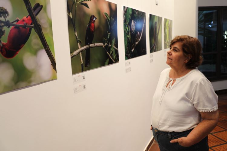 Avifauna de São Paulo
