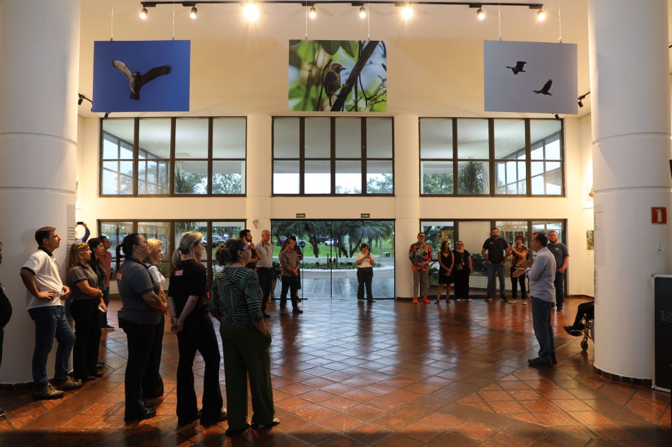 Exposição Avifauna de São Paulo chega ao Hotel SESI Epitácio e convida público a conhecer a diversidade das aves brasileiras