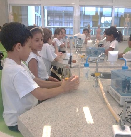 Não são visíveis, mas existem