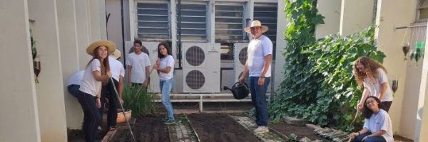 Projeto horta na escola envolve alunos em aulas ao ar livre