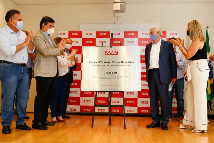 placa homanegem vicioni