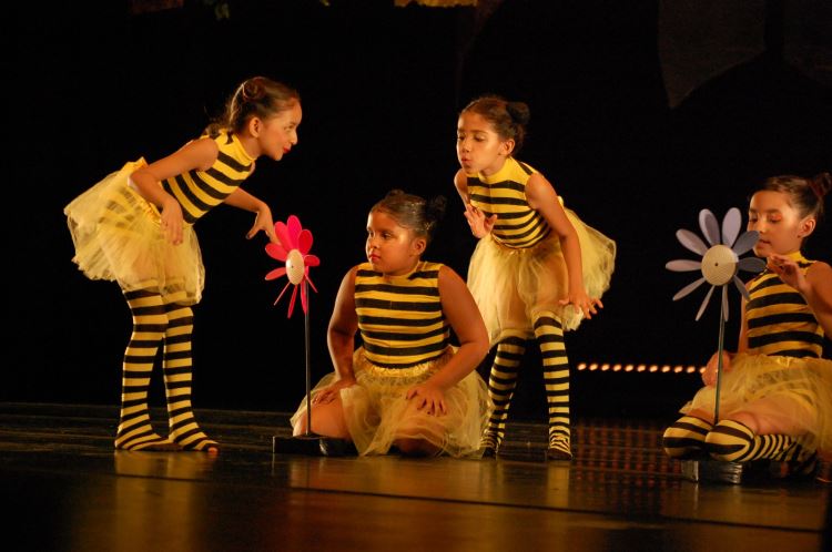 O Coração do Ritmo da Terra 6