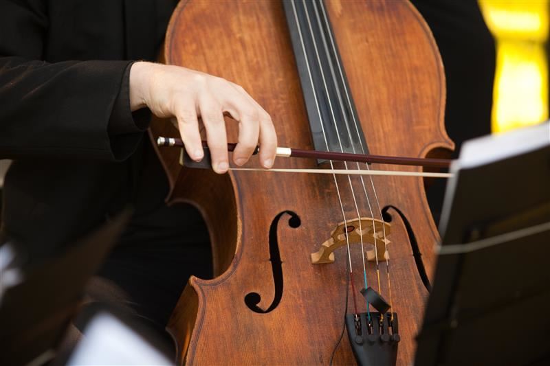 Núcleo de Música: vagas abertas para curso gratuito de Cordas Friccionadas no SESI Indaiatuba