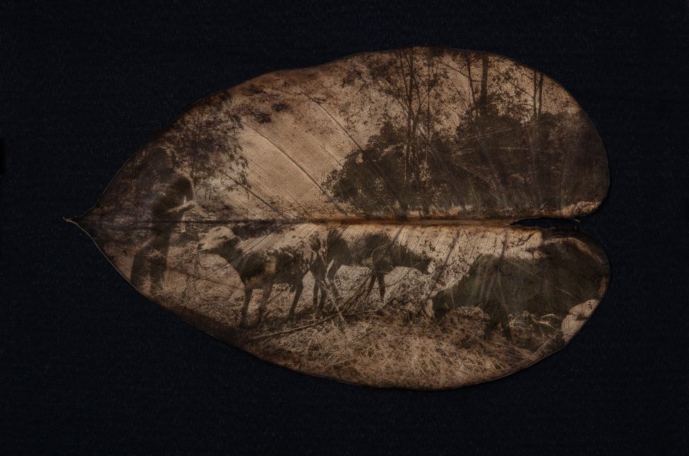 Indígenas é tema de exposição fotográfica de Dani Sandrini no SESI Ribeirão Preto