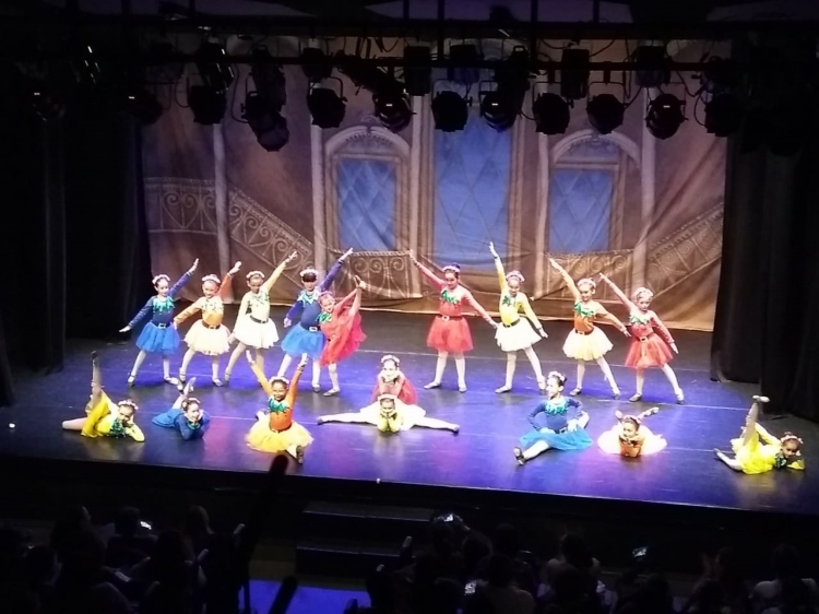 FESTIVAL DE DANÇA 2018