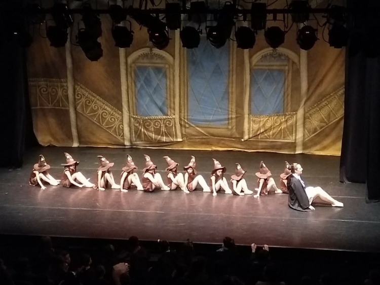 FESTIVAL DE DANÇA 2018