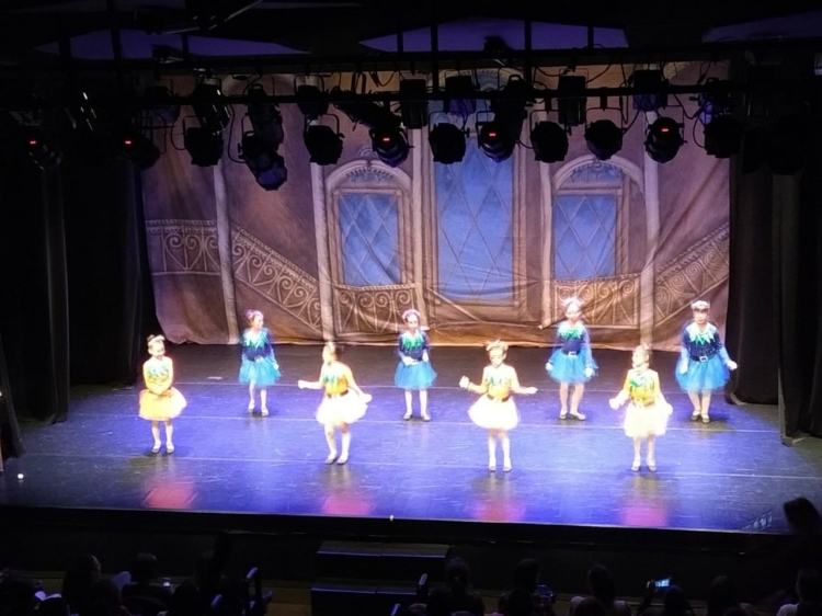 FESTIVAL DE DANÇA 2018