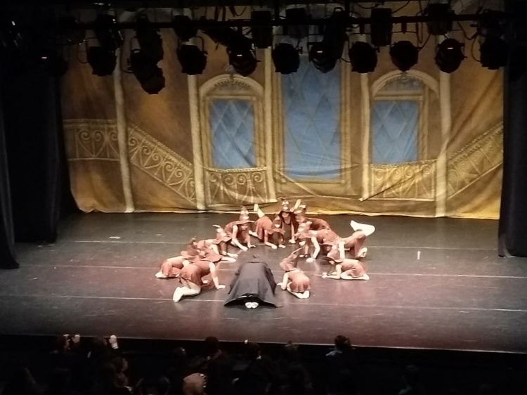 FESTIVAL DE DANÇA 2018