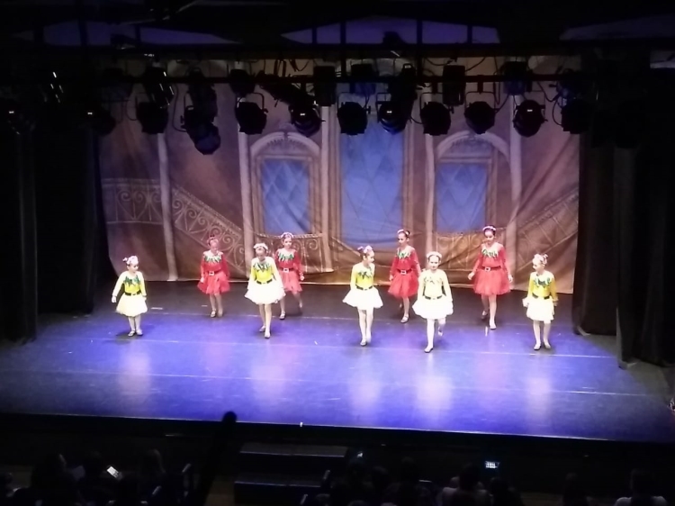 FESTIVAL DE DANÇA 2018