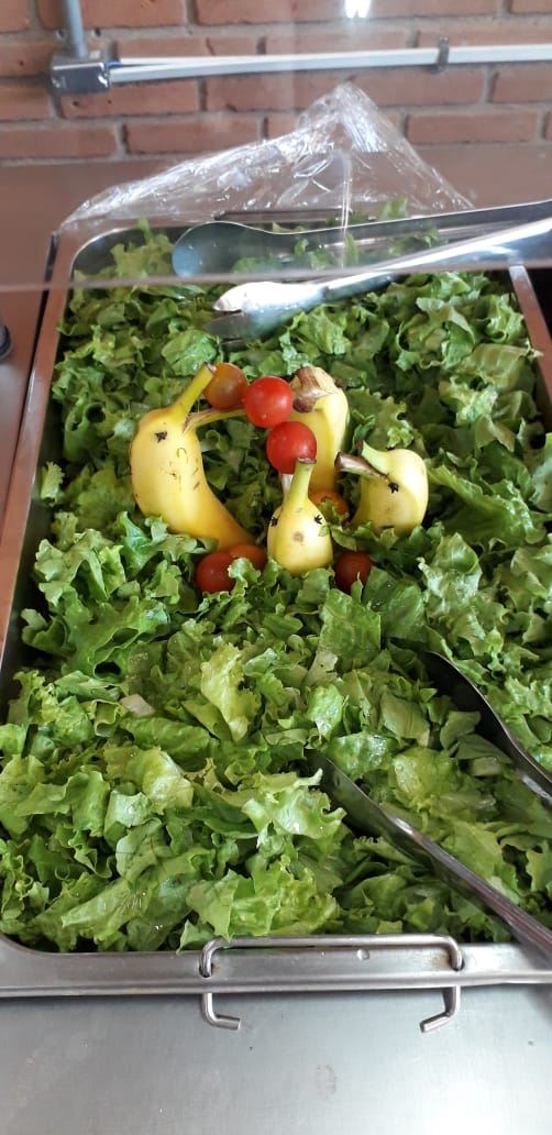 encorajando a experimentar