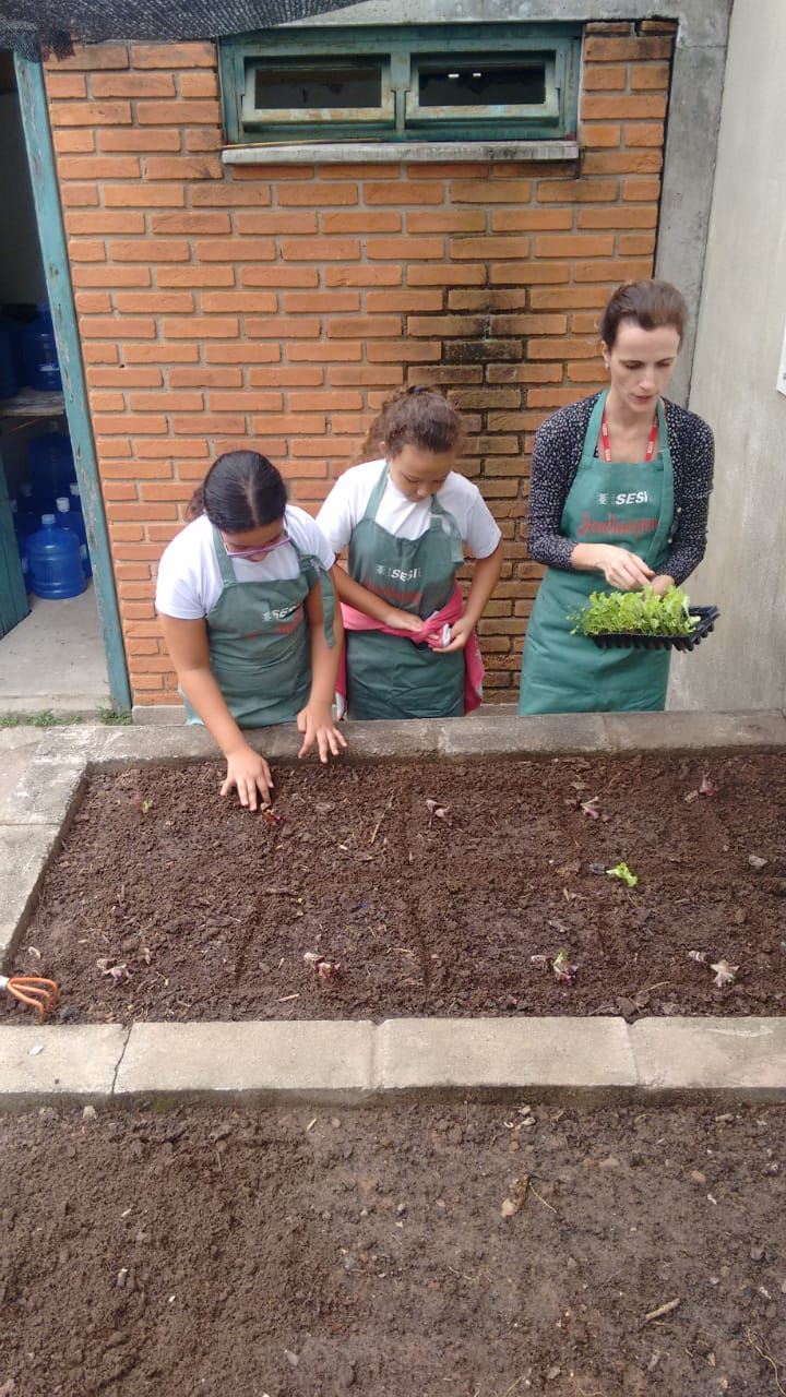 ATIVIDADE HORTA ESCOLAR - JUNHO
