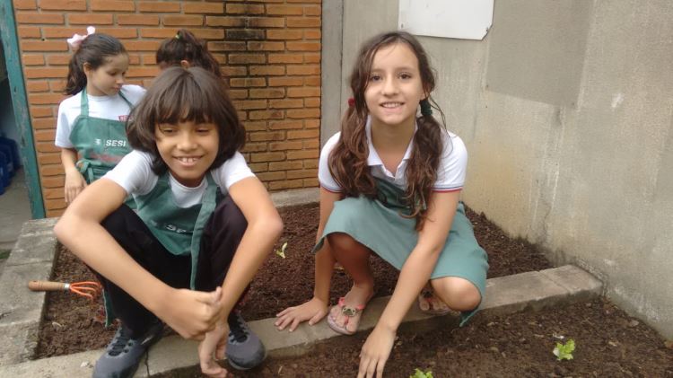 ATIVIDADE HORTA ESCOLAR - JUNHO